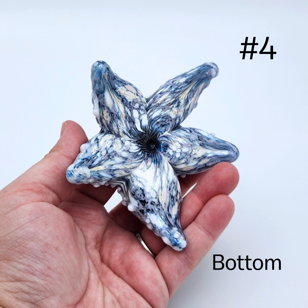 Hand Sculpted Glass Starfish by Tim “Lefty” Jaquet